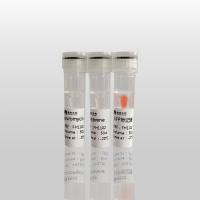 绿色荧光蛋白标记试剂盒