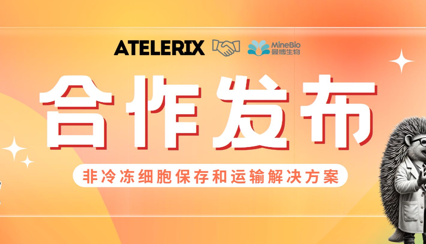 【合作通知】英国Atelerix与曼博生物签署指定分销协议，旨在中国建立非冷冻细胞保存和运输解决方案