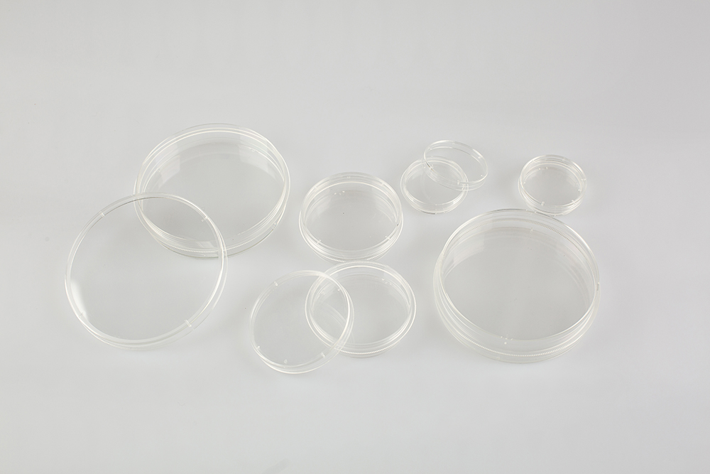 如何有效灭菌培养皿和培养基？关键步骤和注意事项揭秘！