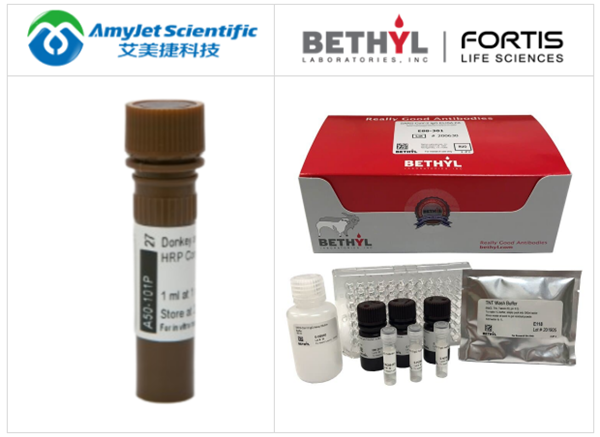 Bethyl Laboratories/艾美捷动物抗体和ELISA试剂盒解决方案