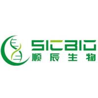 小鼠抗GST Tag单克隆抗体 