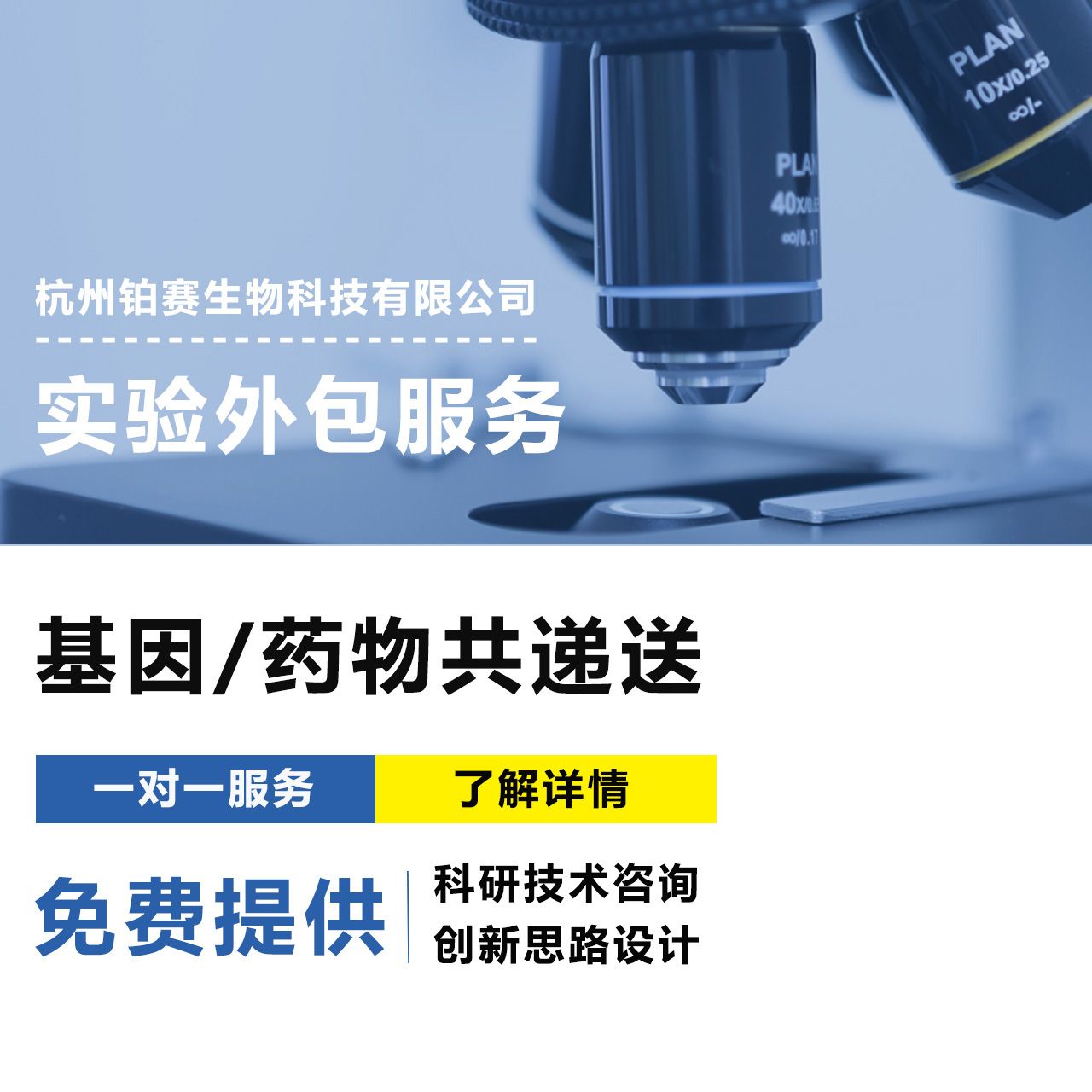 基因/药物共递送实验#基因药物联合递送系统#协同基因药物递送技术