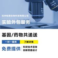 基因/药物共递送实验#基因药物联合递送系统#协同基因药物递送技术