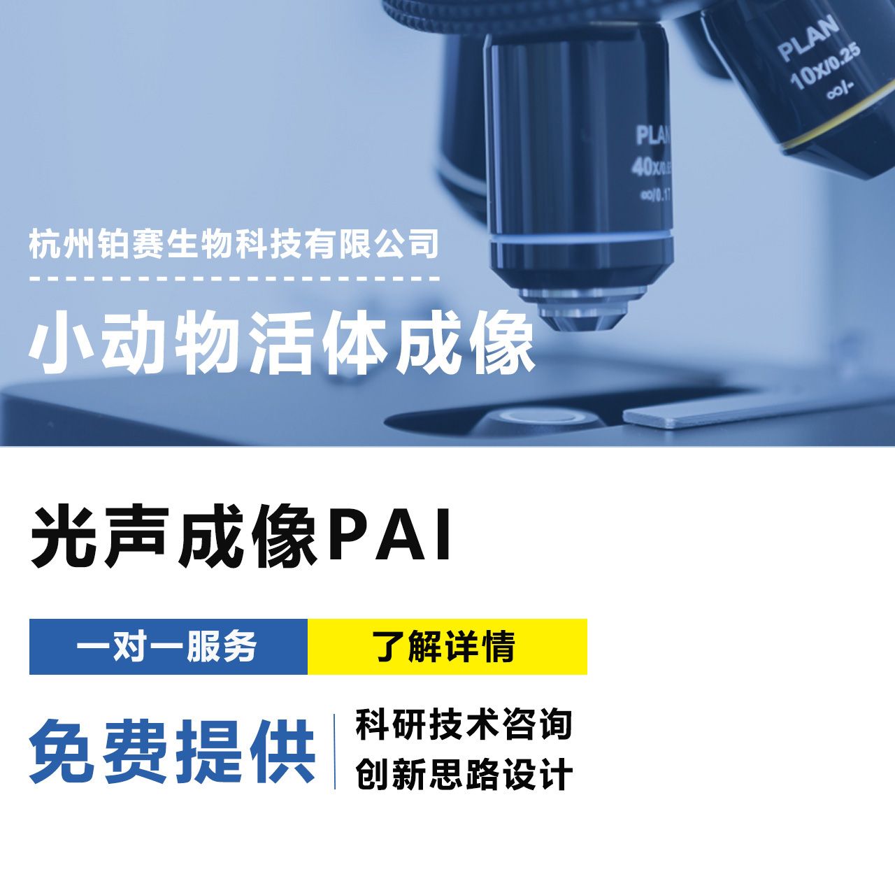 小动物光声成像(PAI)#脑功能研究 #肿瘤研究 #血管疾病评估 #3D可视化