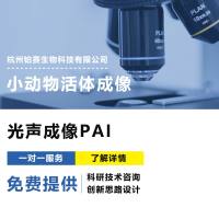 小动物光声成像（PAI）#脑功能研究 #肿瘤研究 #血管疾病评估 #3D可视化