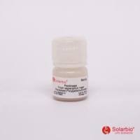 Pectinase 果胶酶(40u/mg)