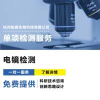 电镜检测#扫描电镜SEM#透射电镜TEM#冷冻电镜Cryo-TEM