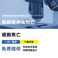 细胞焦亡Pyroptosis/细胞程序化死亡/细胞凋亡（apoptosis）/细胞自噬（autophagy）/细胞坏死性凋亡(necroptosis)/细胞炎性坏死