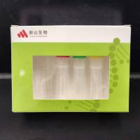 快速内切酶SmaI