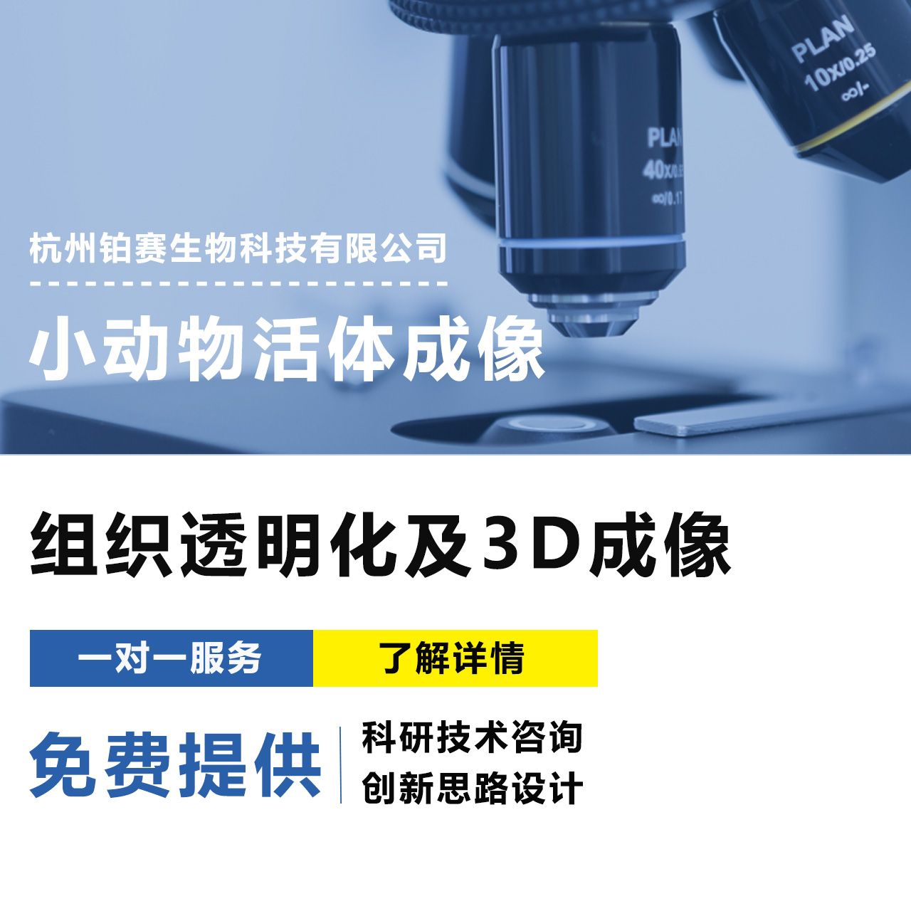组织透明化及3D成像服务#分子标记#细胞标记#组织标记#三维组织成像#基因组学#免疫组化#三维图像数据分析及定量统计