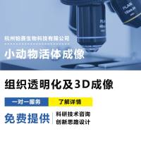 组织透明化及3D成像服务#分子标记#细胞标记#组织标记#三维组织成像#基因组学#免疫组化#三维图像数据分析及定量统计