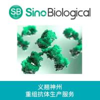 大规模抗体生产服务