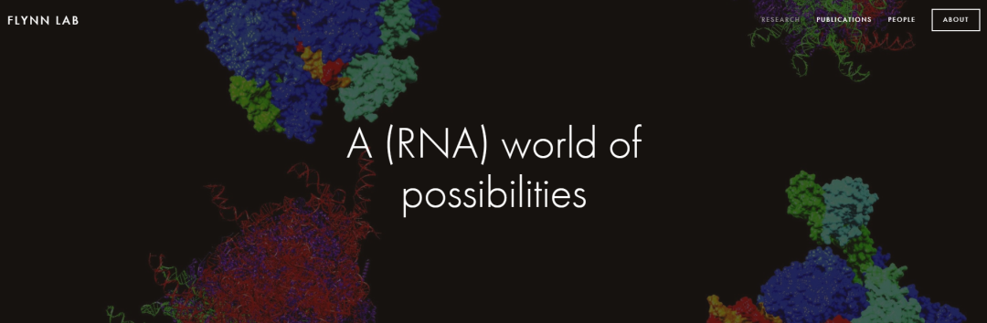 Ryan A. Flynn教授讲座最全笔记 《细胞表面糖基化RNA生物学》