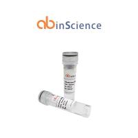 Recombinant Mouse CD197/CCR7 Protein, N-His-KSI