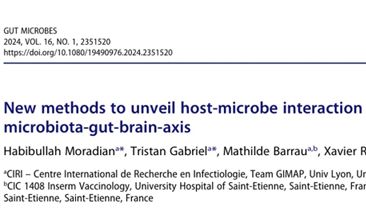 IF=12.2丨Gut Microbes：基于斑马鱼等揭示微生物群-肠道-脑轴相互作用机制的新方法