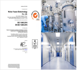 硬核研发+智造实力,真正实现符合生物制药质量标准的转染试剂国产化!