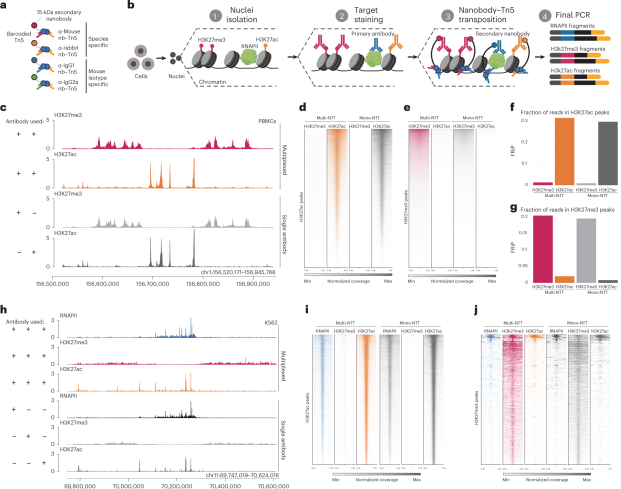 硬核研发+智造实力，翌圣单细胞研究核心酶原料助力国产单细胞技术飞升！