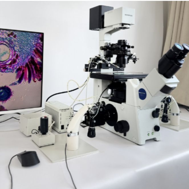 二手显微操作系统奥林巴斯IX71倒置霍夫曼显微镜带质保 