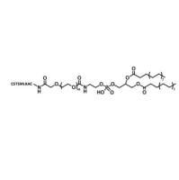 CSTSMLKAC-PEG-DSPE   DSPE-PEG-CSTSMLKAC   靶向心肌细胞的药物递送系统