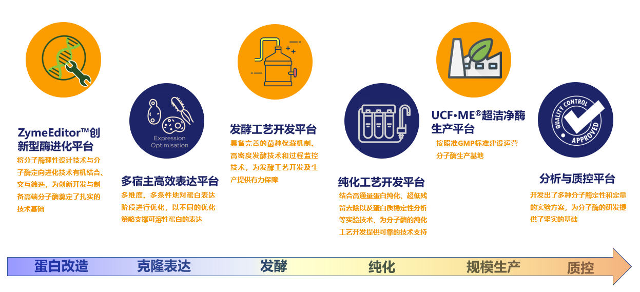 硬核研发+智造实力，翌圣单细胞研究核心酶原料助力国产单细胞技术飞升！