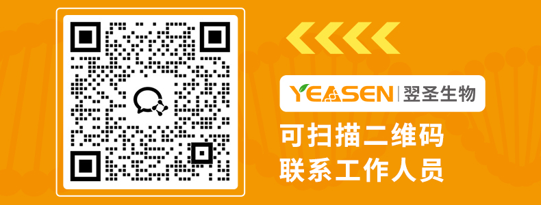 限量试用 | 低成本、高效率！T7 Endonuclease I 让基因编辑检测更经济