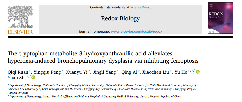 Redox Biology | 国家重点研发计划首席科学家教授团队深度解析色氨酸代谢物3-HAA—治疗BPD的 “秘密武器”