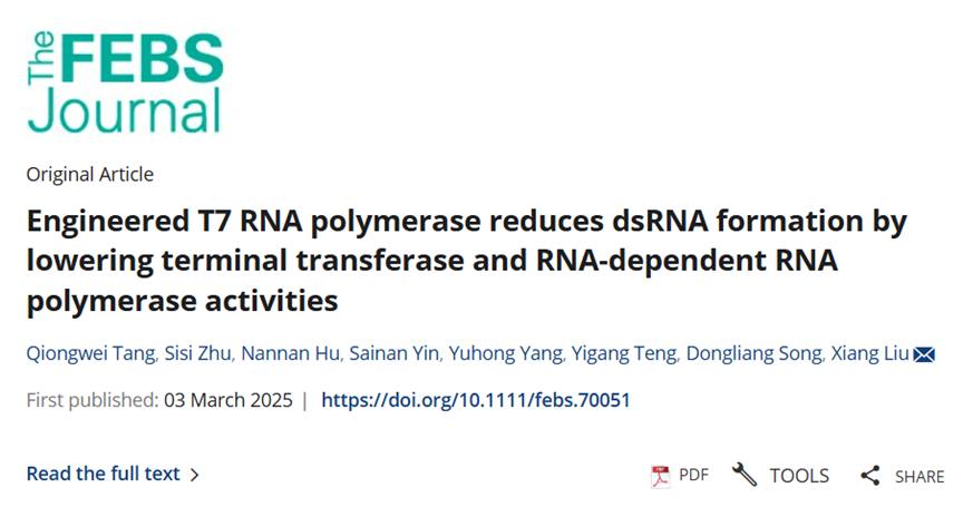 从实体清单到关税战，翌圣生物如何实现酶原料100%自主可控？