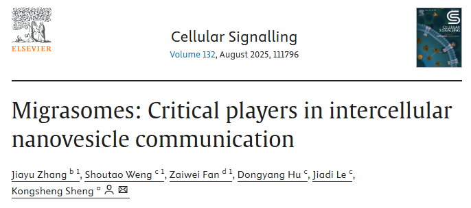 【2025 年第 6 期】迁移体：细胞通讯新宠—揭秘疾病关联 “新套路”，开启科研新“狂飙”