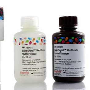 West Femto超敏底物