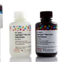 West Femto超敏底物