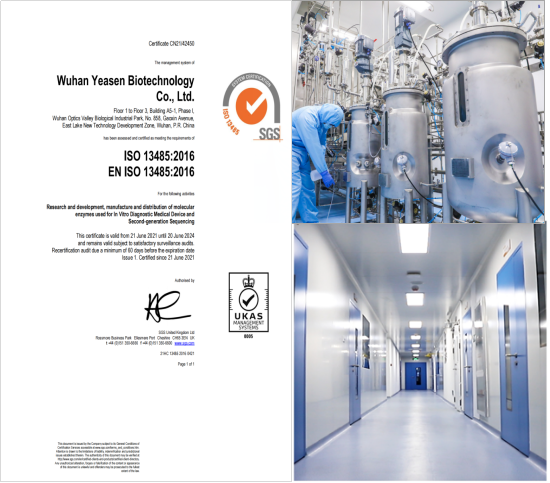 从实体清单到关税战，翌圣生物如何实现酶原料100%自主可控？