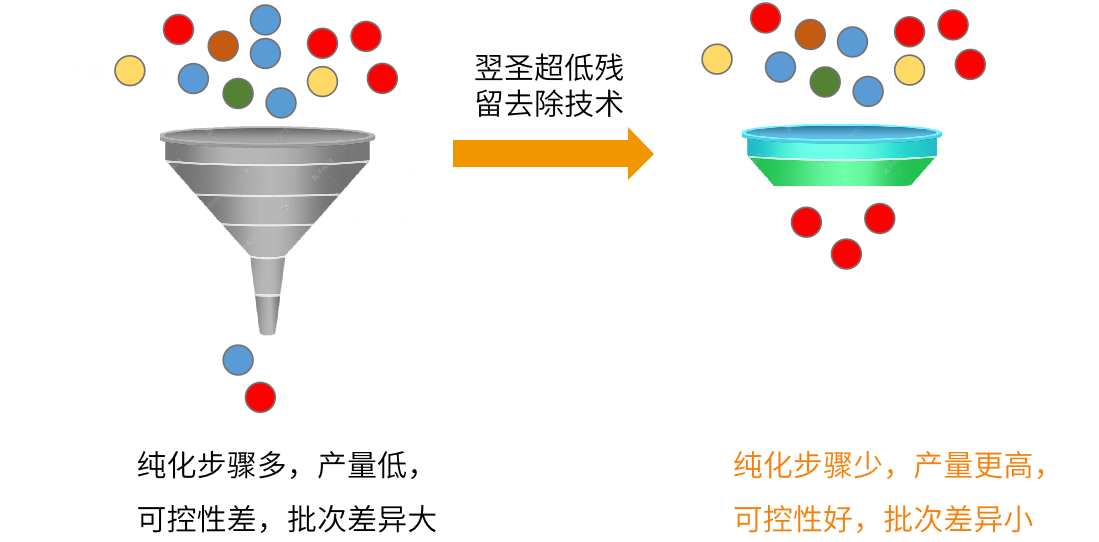 从实体清单到关税战，翌圣生物如何实现酶原料100%自主可控？