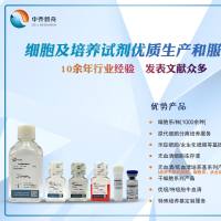 小鼠干细胞因子检测试剂盒