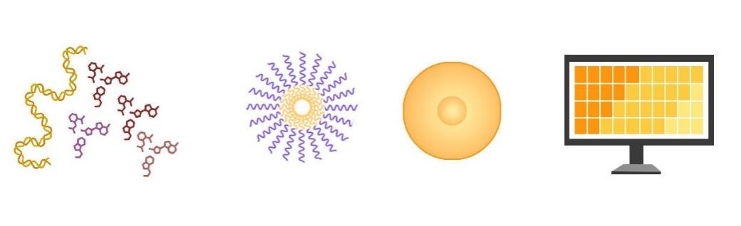 硬核研发+智造实力,真正实现符合生物制药质量标准的转染试剂国产化!