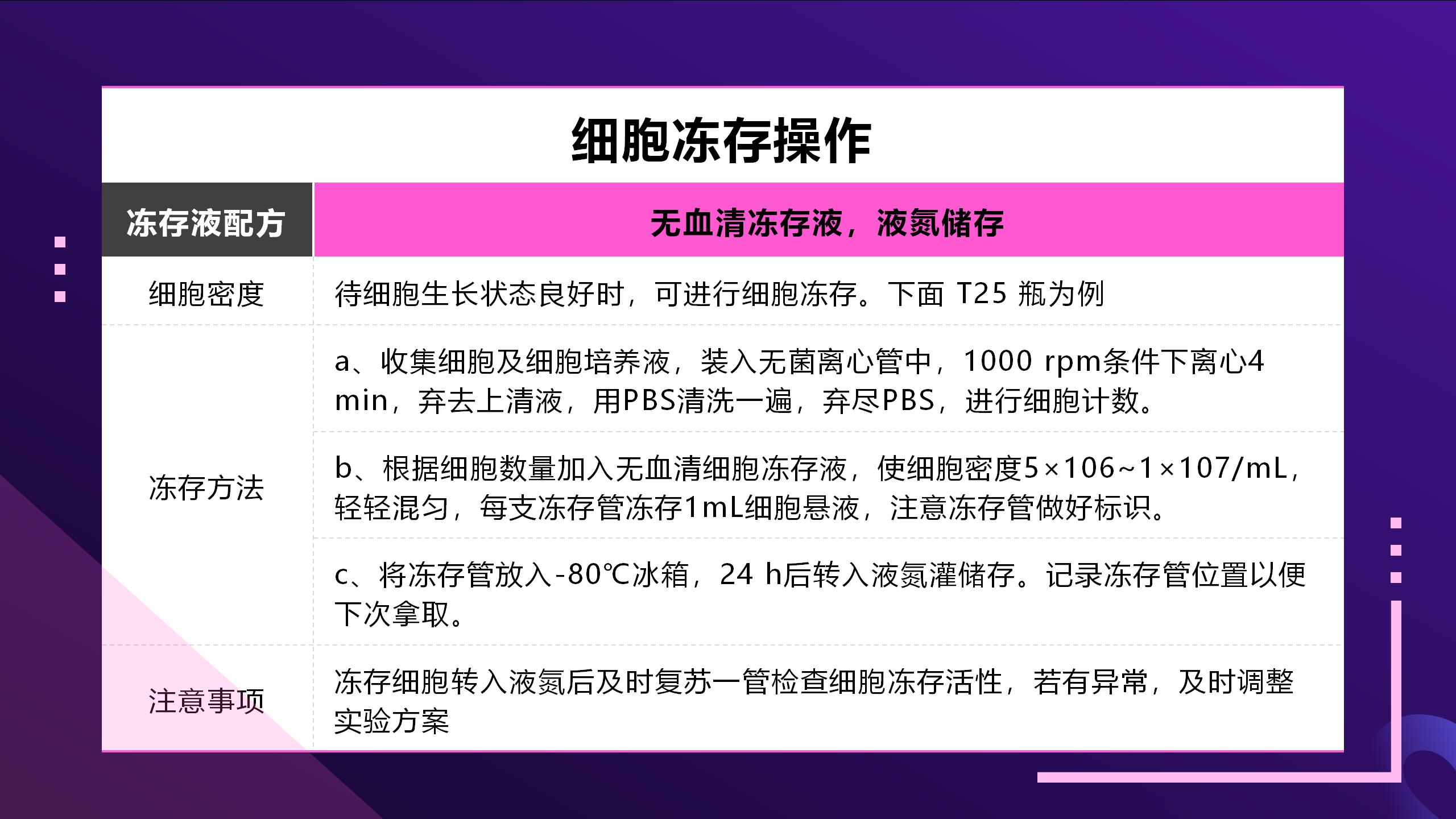 细胞  新模板2_03.jpg