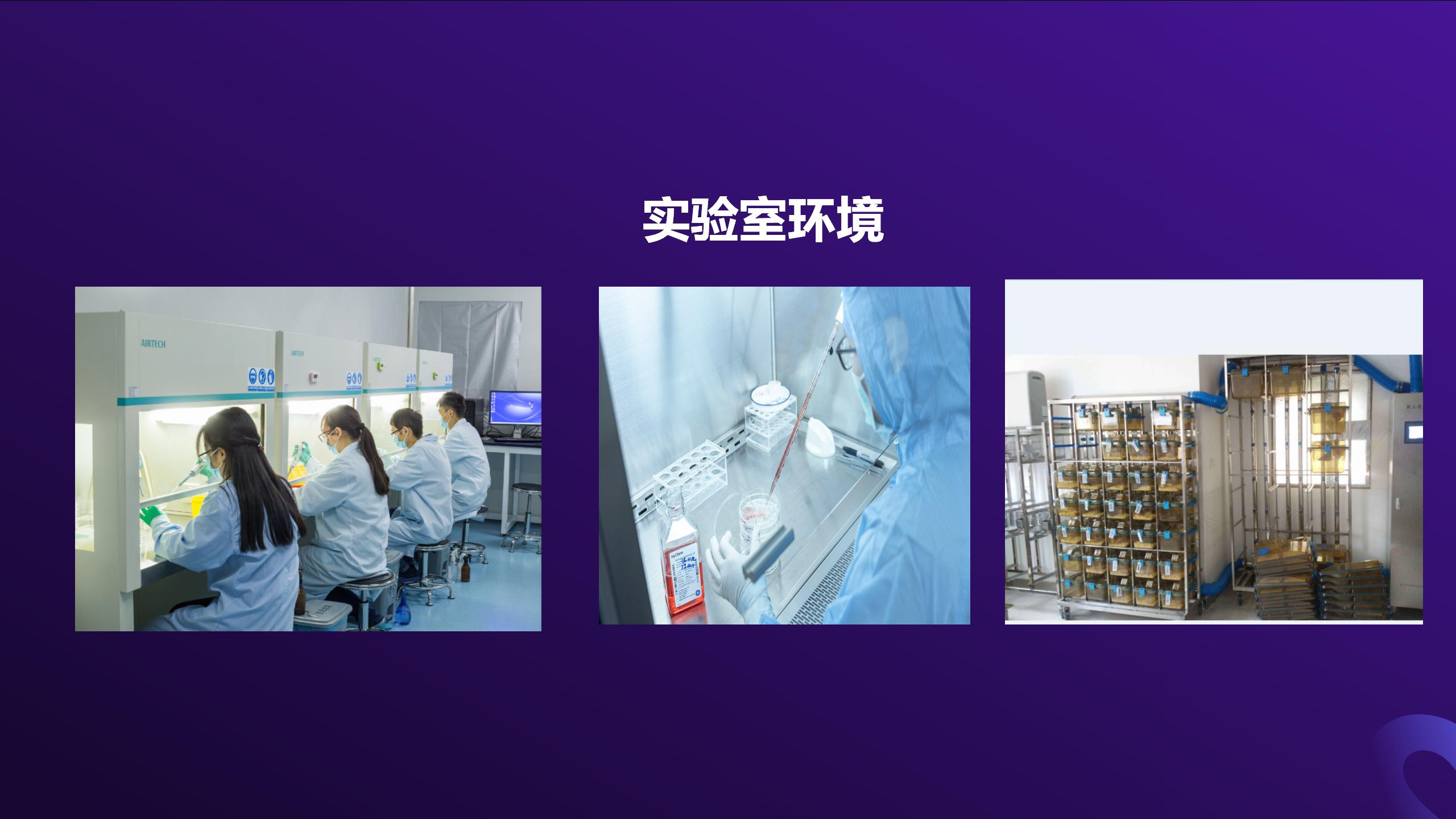 细胞  新模板2_06.jpg