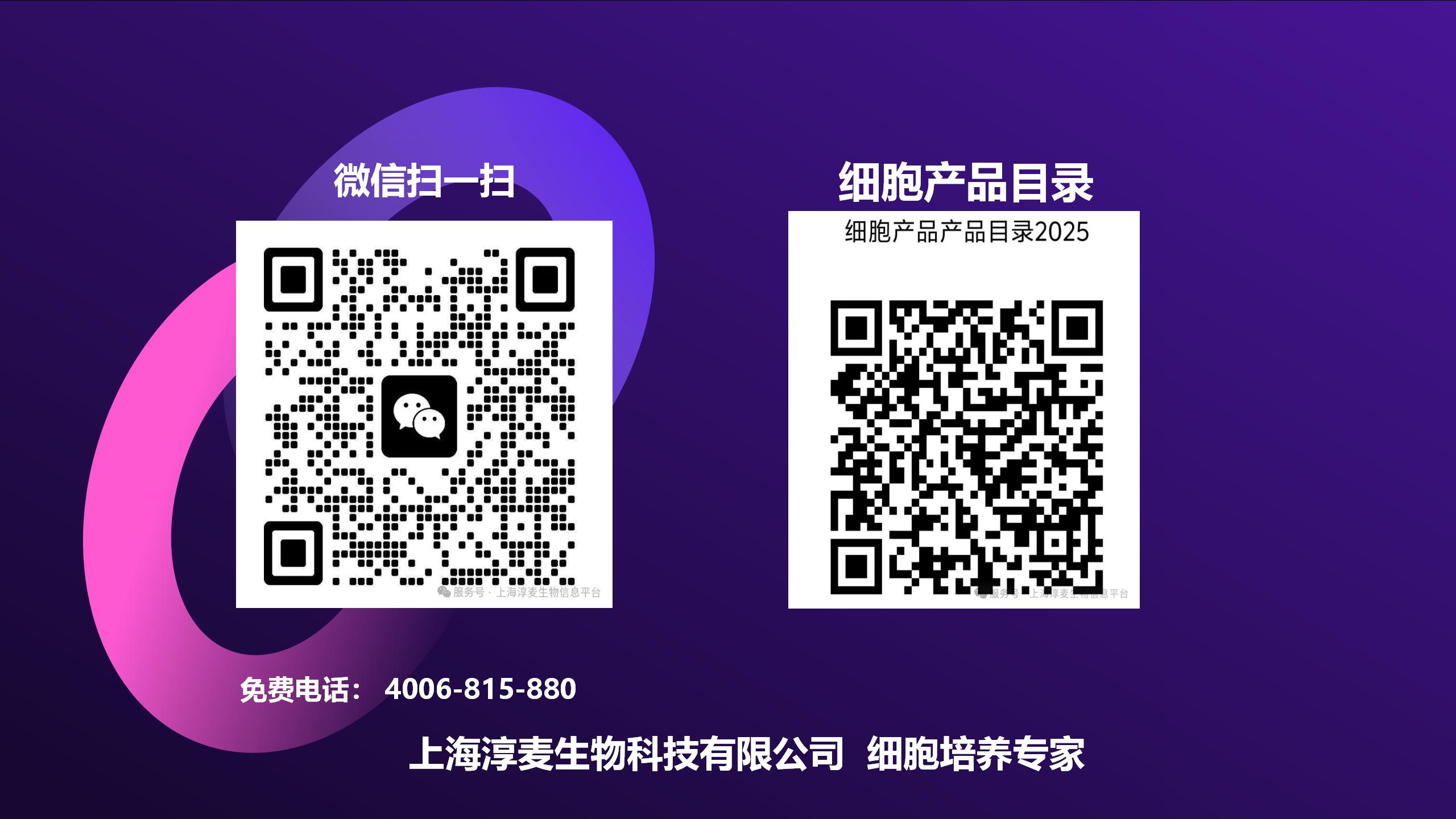 细胞  新模板2_08.jpg