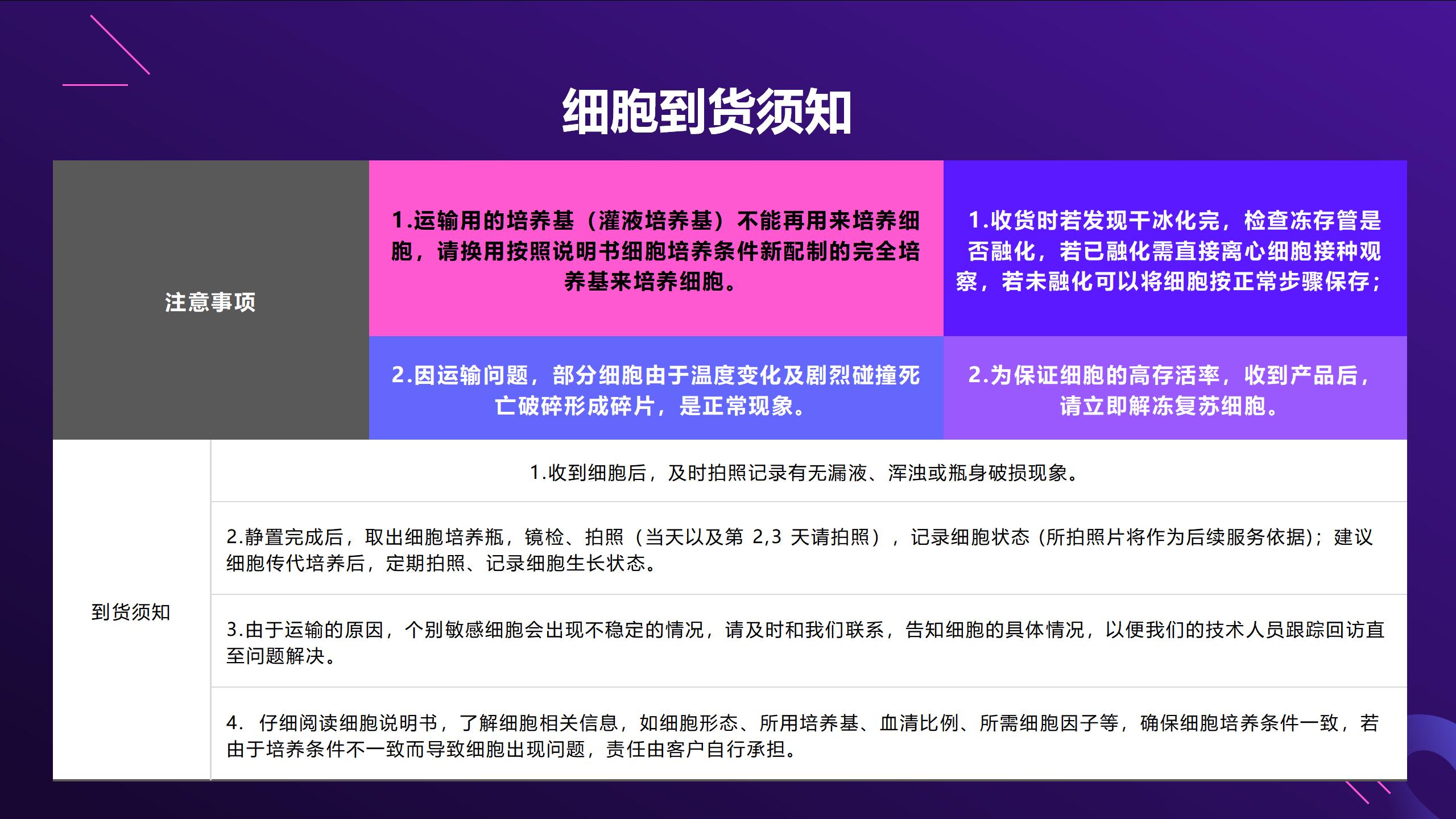 细胞  新模板2_02.jpg