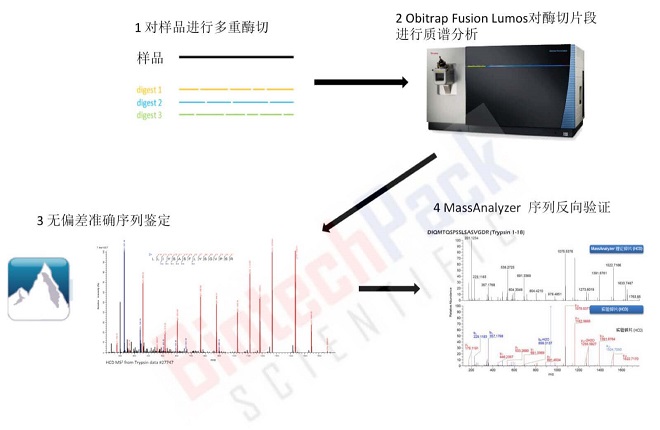 多肽从头测序 高质量光谱理论碎片离子示意图