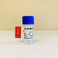 鼠抗喹诺酮类单克隆抗体；喹诺酮类抗体；CPFX抗体；CPFX-mAb；喹诺酮类合成抗原