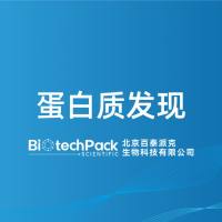 蛋白质发现