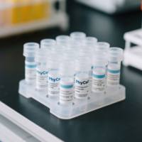 鼠抗Taq DNA聚合酶单克隆抗体；Taq DNA聚合酶抗体；DNA聚合酶抗体