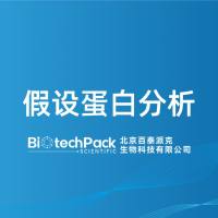 假设蛋白分析