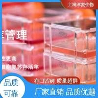 大鼠牙周膜干细胞