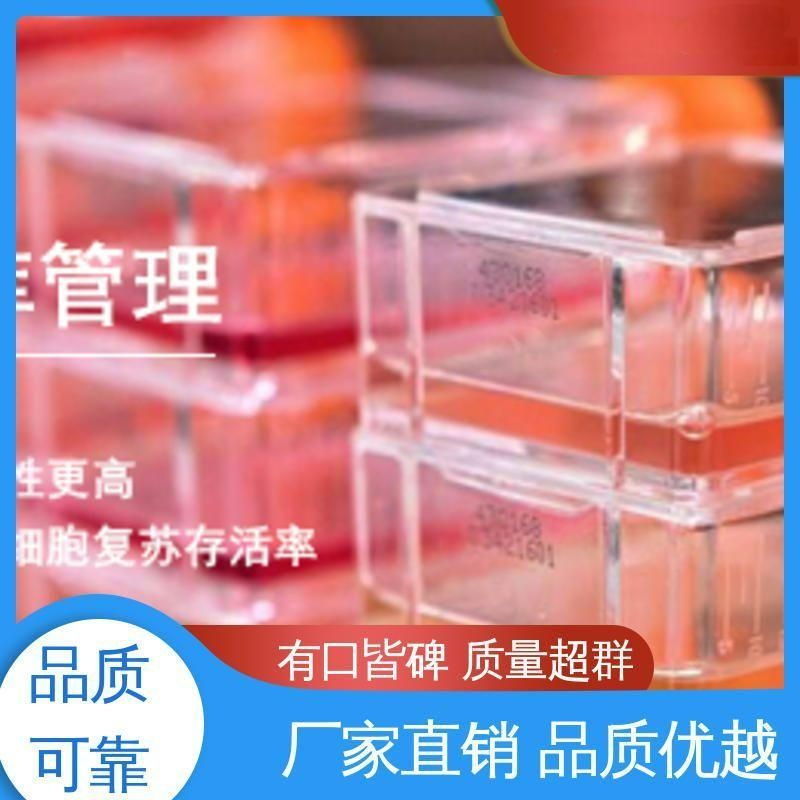 小白鼠肺成纤维细胞