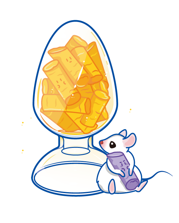 MP聚焦动物疾病模型饲料 | 高效供应，无惧市场波动！