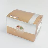 Mouse MMP9 ELISA Kit