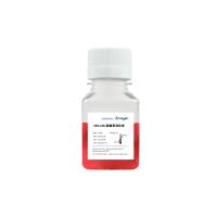 3DCultr类器官消化液