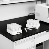 万古霉素单克隆抗体;万古霉素抗体;Vancomycin抗体