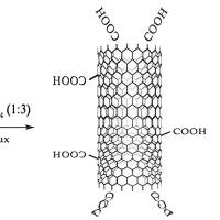 负载顺铂（Cp）的碳纳米管（CNTs）被明胶（Gel）修饰